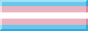 Trans Flag